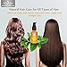 Moroccan Hair Treatment Oil for Hsi Professional / Calily / Kipozi / Iron hair straightener Brush / Remington / xtava Hair Curling Irons and Wand, Pouch and Travel Size Argan Oil, 1 fl oz / 30 ml