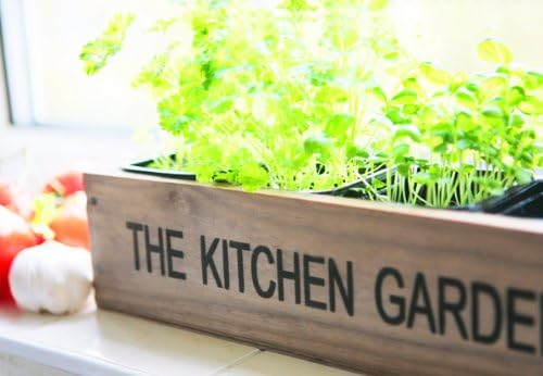 Macetero de cocina para especias: Amazon.es: Jardín