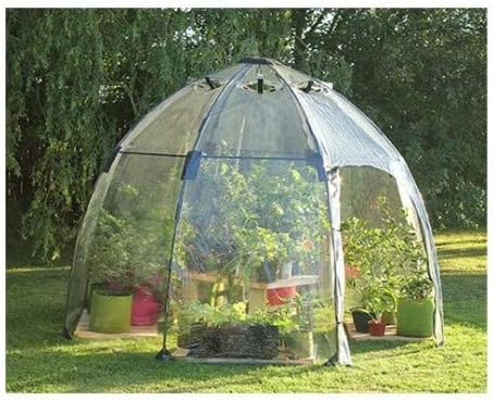 Burbuja de Invierno 6 m²: Amazon.es: Jardín