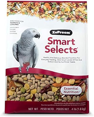 conure parrot food