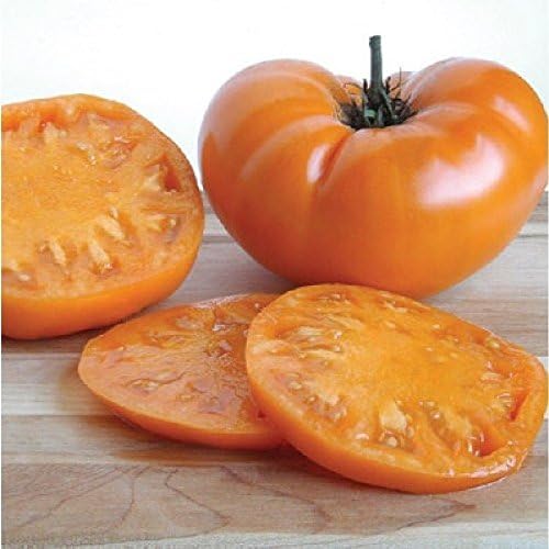 30 Persimmon Tomato Seeds 2018 ($3.00 Max Shipping!)
