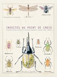 Insectes au point de croix