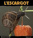 L'escargot paisible dormeur by 