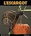L'escargot paisible dormeur by 