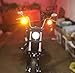 LUYED 2 x 900 Lumens Super Bright 1157 3014 78-EX Chipsets 1157 2057 2357 7528 LED Bulbs Used For Turn Signal Light,Amber