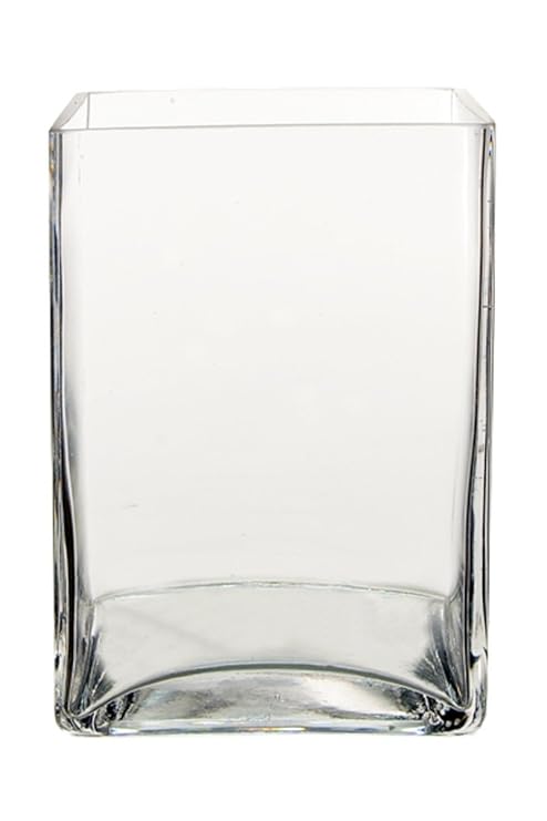 Buy Cys Glass Block Vase 6 X 6 X 8 6 Piece Online At Low