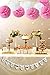 Konsait It's a Girl Decorations, It is a Girl Bunting Banners and Tissue Paper Flower Pom Poms Pink/White (12pcs) Party Decoration Accessory for Baby Shower Birthday Party Room Nursery Decoration