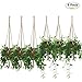 Plant Hanger, Hanging Planter/Plant Holder Indoor Outdoor for Plants, Cotton Rope Plant Hanger Set with Key Ring, Large, 6 Packs, 2 Size