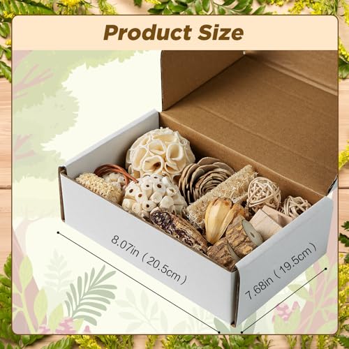 SUSOO Natural Bird Chewing Wooden Toys DIY Set, Safe Shredding Toys with Sola Balls, Wood Blocks, Apple Wood and Pine Cone, Foraging Toy for Parrots, Parakeet, Budgie, Conure,Love Birds and Cockatiel