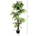 Goplus Fake Tree Artificial Sargent Gloryvine Plants in Nursery Pot Decorative Trees for Home, Office, Lobby (5ft Sargent gloryvine)