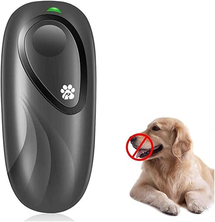 small beagles for adoption