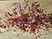De-Waxed Orange Shellac Flakes 1 lb. (16 oz.)