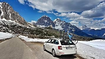 treefrog model pro 2