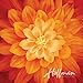 Dream Big~ Fire Digital Floral Panel 43