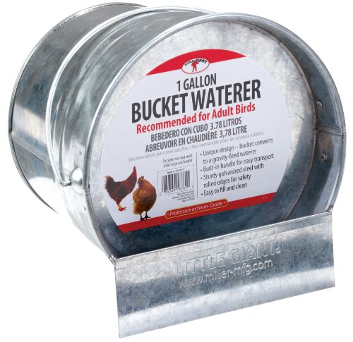 Little Giant Galvanized Bucket Waterer