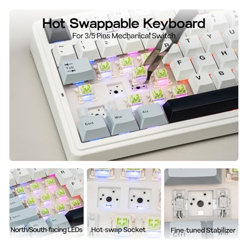 EPOMAKER x AULA F75 Gasket Mechanical Keyboard, 75% Wireless Hot Swappable Gaming Keyboard with Five-Layer Padding&Knob, Bluetooth/2.4GHz/USB-C, RGB (Light Blue, LEOBOG Reaper Switch)