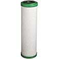Pentair Pentek CBR2-10 Carbon Water Filter, 10-Inch, Under Sink Carbon Block Multi-Media Replacement Cartridge, 10" x 2.5", 0.5 Micron