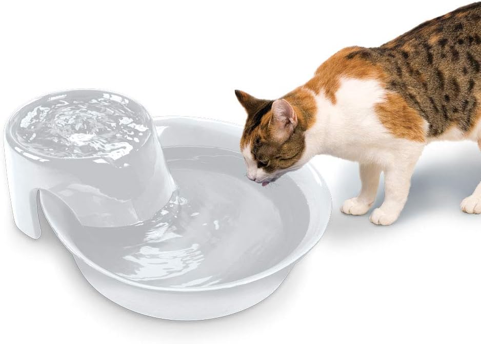 pioneer big max pet fountain