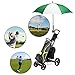 BAGAIL Golf Umbrella 68/62/58 Inch Large Oversize Double Canopy Vented Automatic Open Stick Umbrellas for Men and Women(Green/White,62 inch)