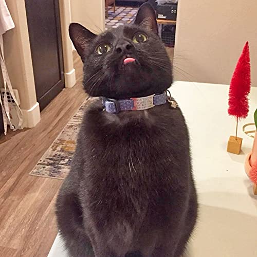 Leashboss Pet ID Tags for Dog and Cat Collars Personalized and