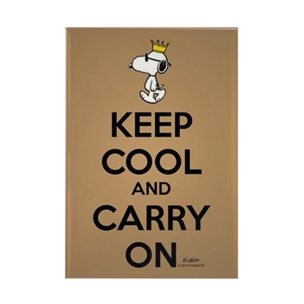 The 10 Best Snoopy Magnets For Refrigerator