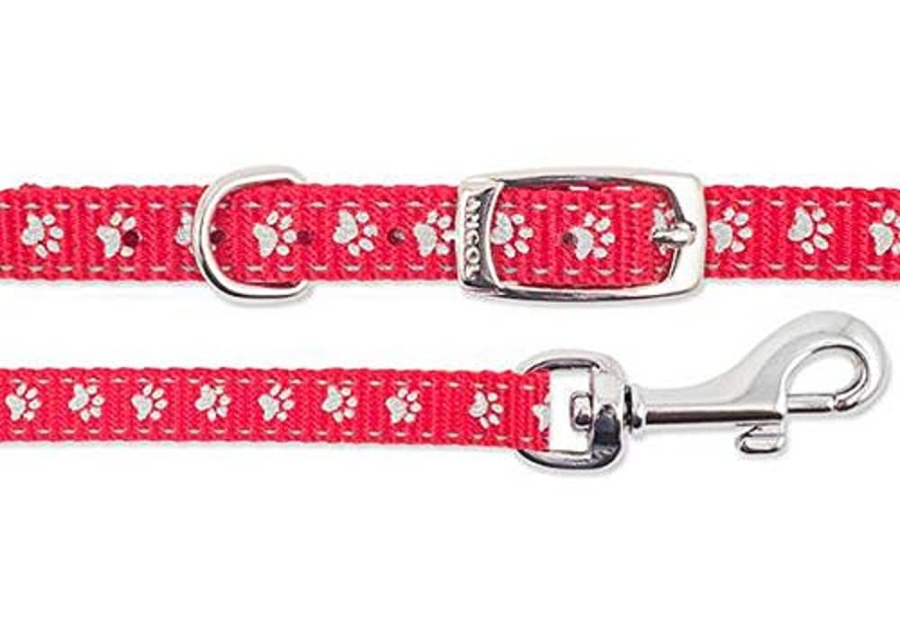 Ancol Small Bite Reflective Collar and Lead Set Blue Red Nylon Design for Puppies and Small Dogs - Adjustable Collar with Snap Buckle Fastening