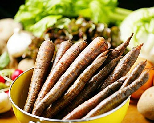 Amazon 希少 栄養価抜群の紫人参 北海道産パープルスティック5kg ジュース サラダ 夕張名産センター にんじん 通販