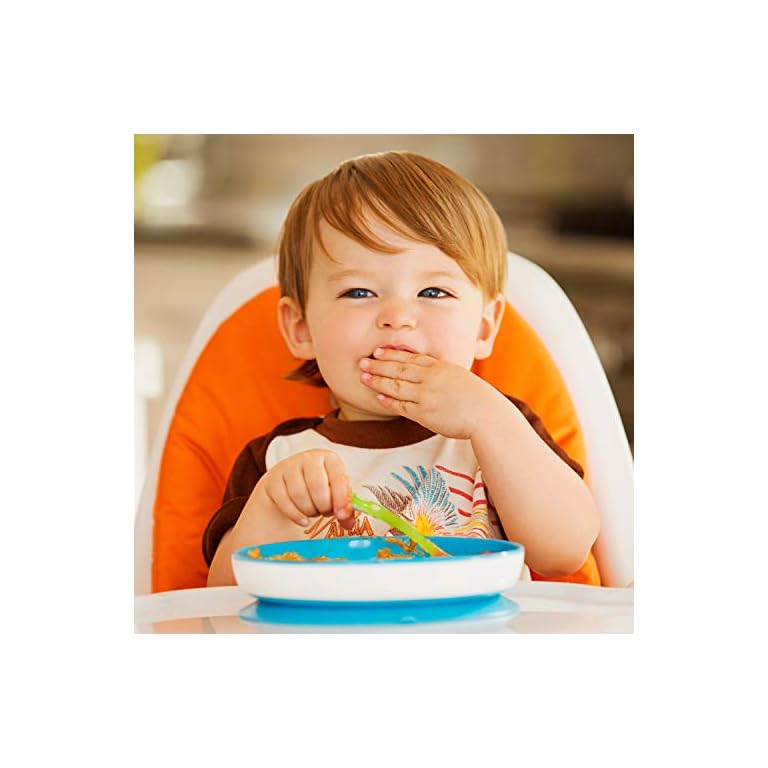 Munchkin Stay Put Divided Suction Plates, Blue/Green