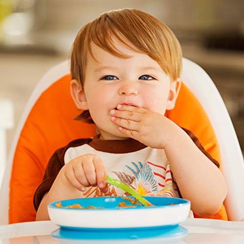 Munchkin-Stay-Put-Divided-Suction-Plates-BlueGreen