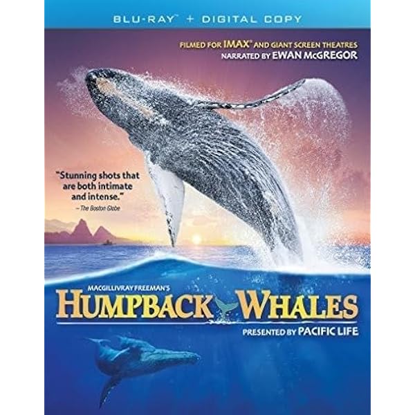 Amazon.com: Fascination Coral Reef 3D: Hunters & the Hunted [3D
