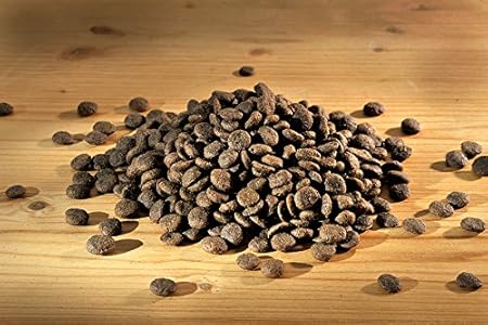 mini africa happy dog