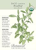 Broadleaf Sage - 30 Seeds - Organic Heirloom