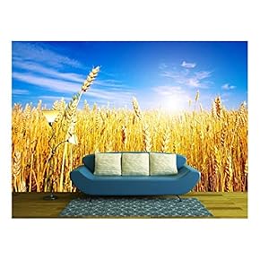 Golden Wheat Field with Blue Sky in Background - Removable Wall Mural | Self-Adhesive Large Wallpaper - 66x96 inches