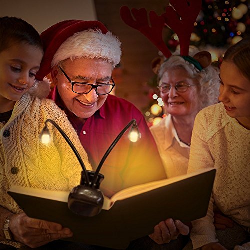 Fenleo Music Stand Light Book Reading Light USB Battery Operated Clip on and Portable Lights