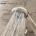 Speakman VS-2007-PB Napa Removable Hand Shower Head and Hose for Stylish Bathroom Décor, Polished Brass, 2.5 GPM