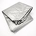 Grizzly Tarps by B-Air 12' x 16' Large Multi-Purpose Waterproof Heavy Duty Poly Tarp with Grommets Every 18