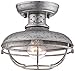 Franklin Iron Works Franklin Park Rustic Farmhouse Semi Flush-Mount Outdoor Ceiling Light Fixture Galvanized Cage 8 1/2