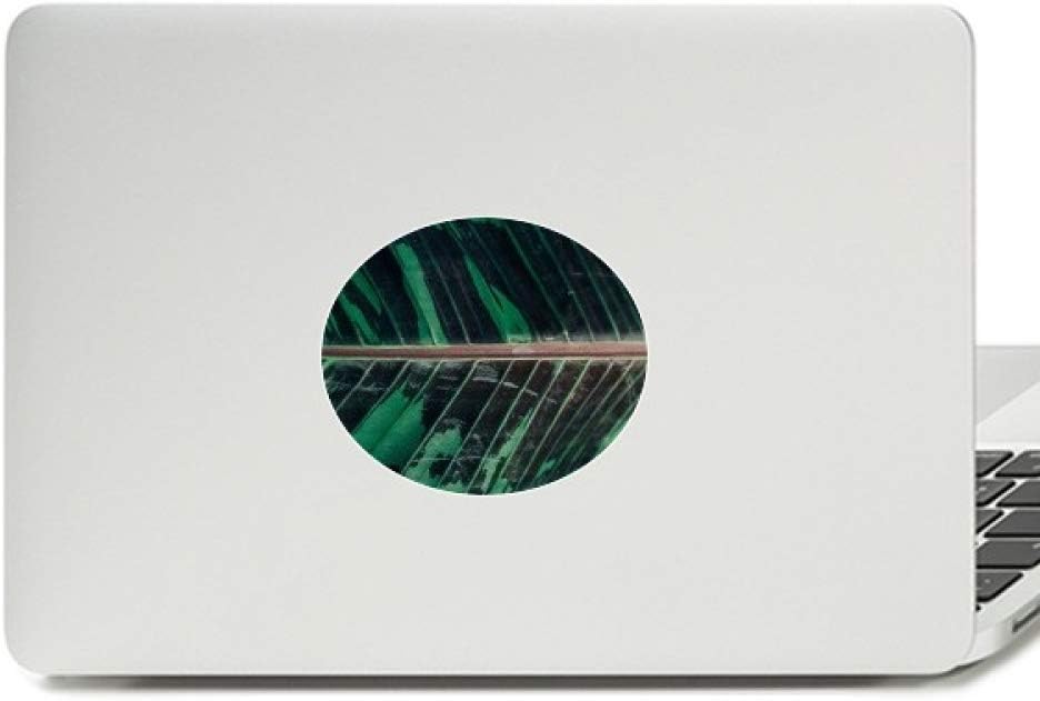 Simpol Banana Leaf Plant Nature Photo Vinyl Emblem Graphic Laptop Sticker Notebook Decal