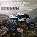 DoitY Electric RC Car, 1:16 4WD 2.4Ghz High Speed Off Road Remote Control Car/ Vehicle/ Truck/ Crawler Climber, Two Rechargeable Batteries Included, Adults and Kids