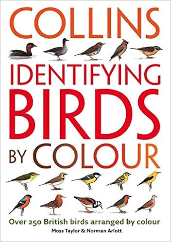 Identifying birds by colour