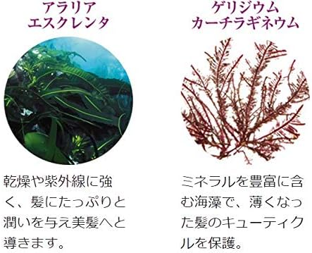 Amazon ラサーナ 海藻 ボリュームアップ ヘアエッセンス 詰め替え用 70ml ラサーナ ヘア美容液 通販