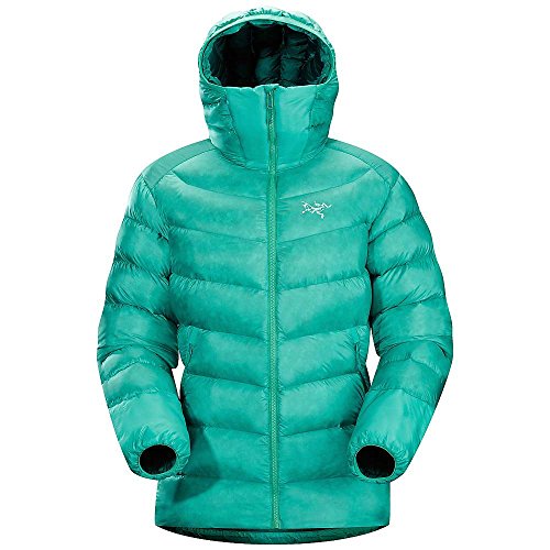 Arc'teryx Cerium SV Down Hoody - Women's