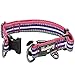 Blueberry Pet Safety Dog Collar with Dual D-Rings | 3M Reflective Multi-Colored Adjustable Collar in Pink, Emerald and Orchid | Soft Nylon Dog Collar for Active Small Dogs