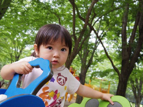 Pentax-Q7-Black-Zoom-Lens-Kit-with-02-Standard-Zoom-5-15mm-f28-45-International-Version-No-Warranty