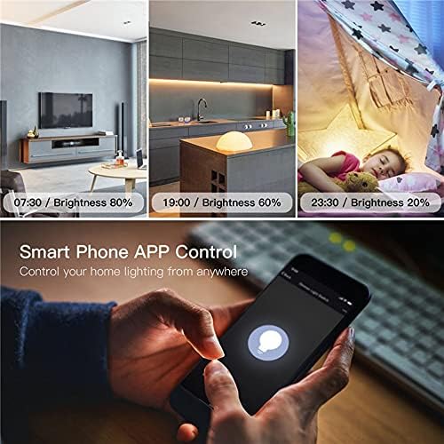 DIY Smart WiFi Light LED Dimmer Switch Smart LifeTuya APP Remote Control 12 Way SwitchWorks with Alexa Echo Google Home