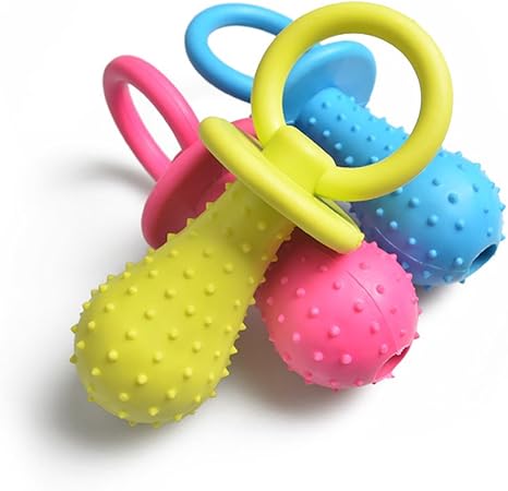 dog chewing pacifier