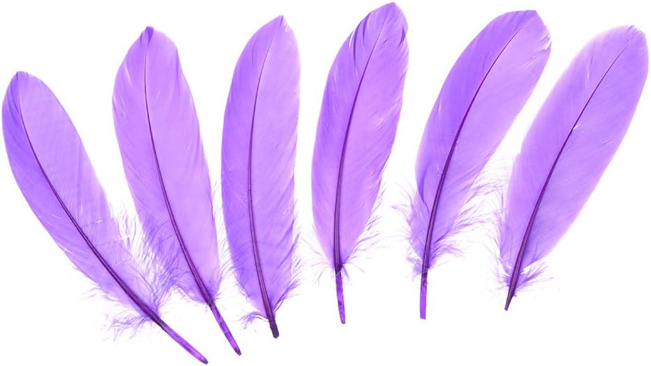 Wanjin Natural Goose Feathers 6-8 inches Clothing Accessories Pack of 100 (Purple)