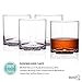 MICHLEY Rock Style Old Fashioned Whiskey Glasses 9 OZ,100% Tritan Plastic Short Glasses For Camping/Party,Set of 4