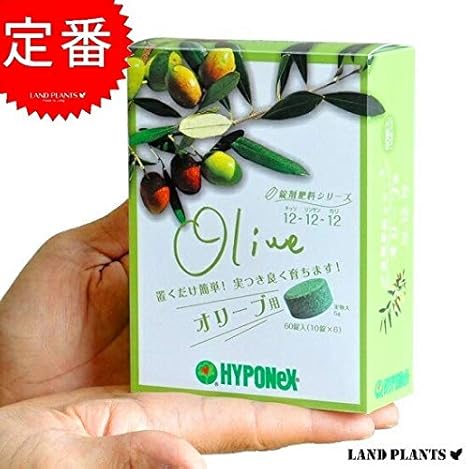 Amazon Co Jp Land Plants 観葉植物 オリーブ専用 錠剤肥料 鉢土の上に置くだけ ホーム キッチン