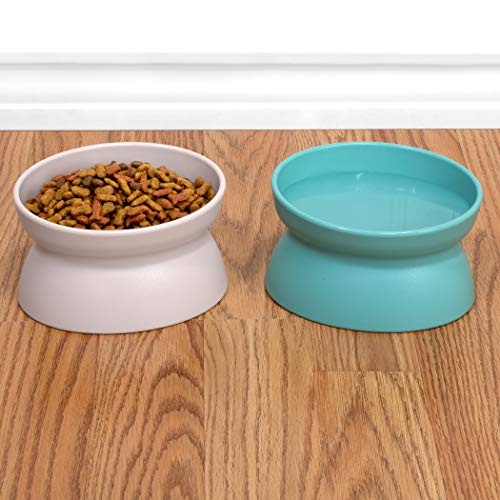 Kitty City Raised Cat Food Bowl Collection_Stress Free Pet Feeder and Waterer - Image 5